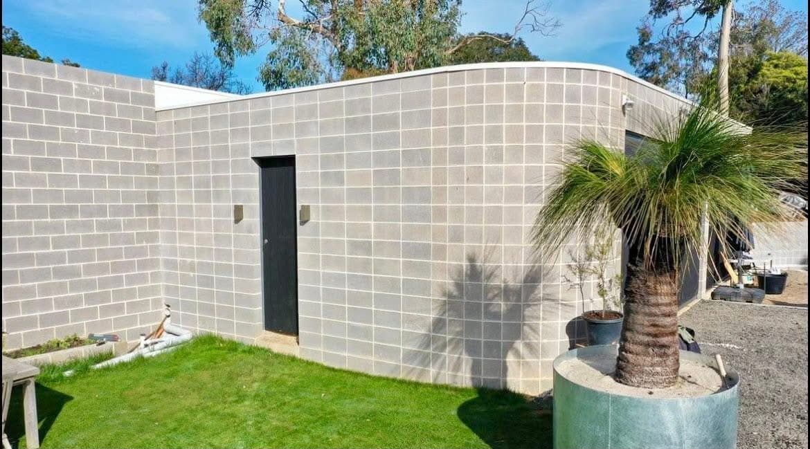 Smooth-radius curved grey-block building wall with palm